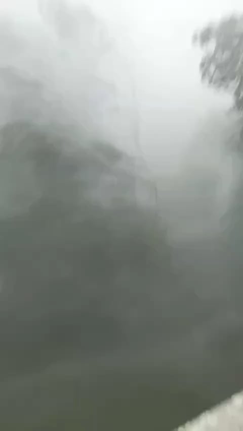 今日はバウスカで