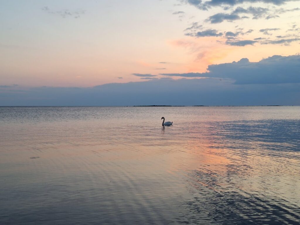 フィンランドの平均的な夏の夜