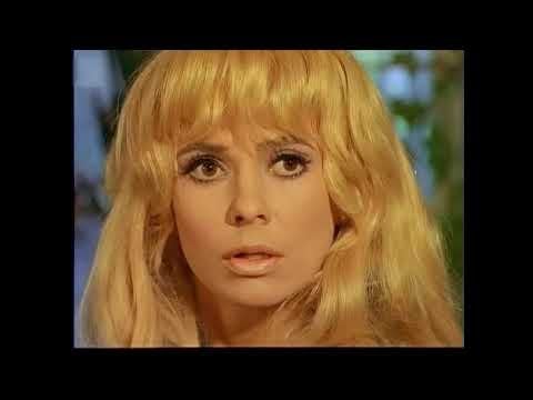 1969 年のセーストパンキの広告