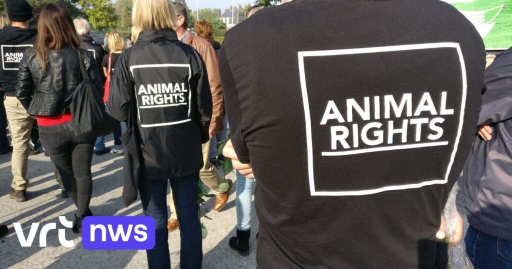 動物愛護団体はもはや動物虐待で訴訟を起こすことができない：「40年前に戻った」