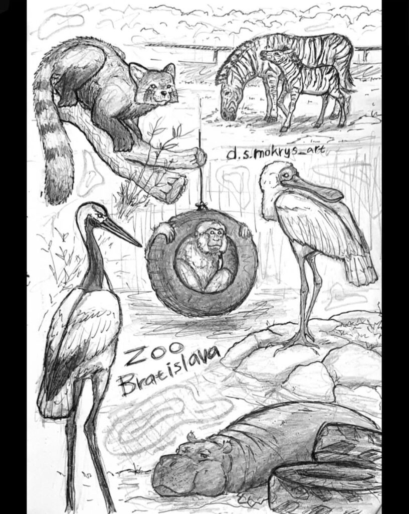 ブラチスラバ動物園で描いた新しい絵