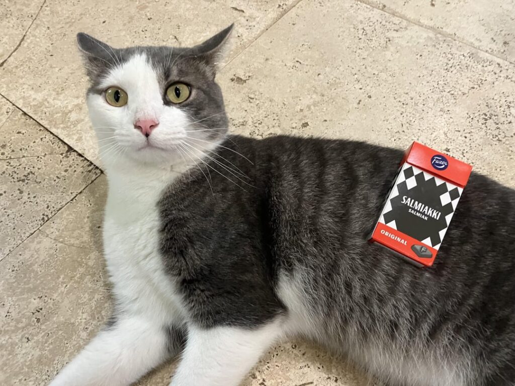 サルミアッキ🇫🇮で