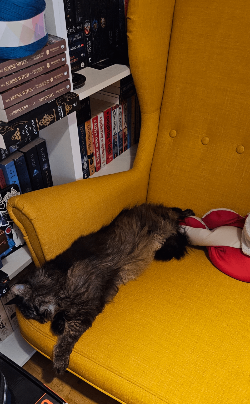 Catbot と私に肘掛け椅子がない理由