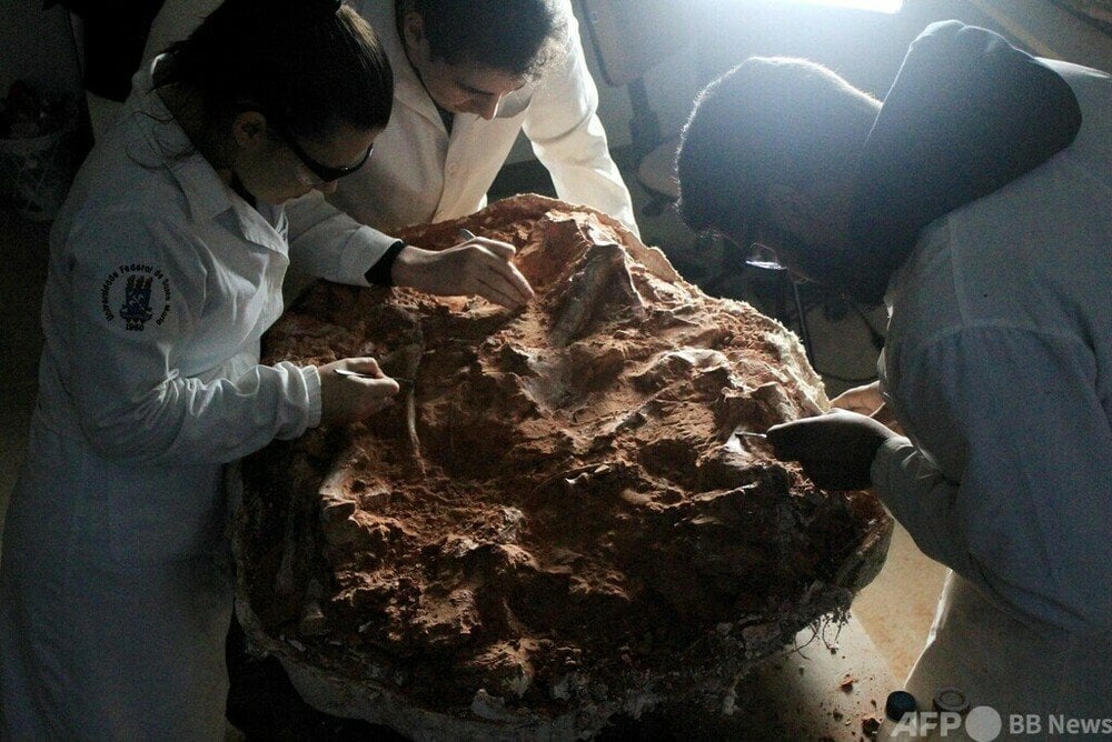 2億年前の恐竜化石発見、豪雨と洪水がきっかけ ブラジル