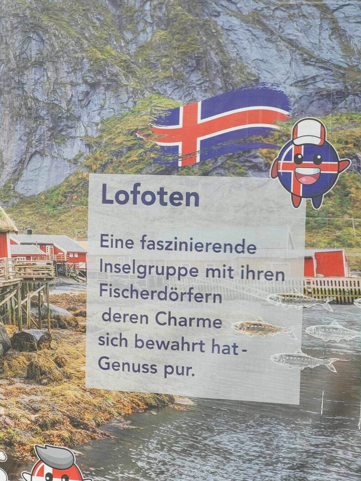 ロフォーテン諸島 🇮🇸