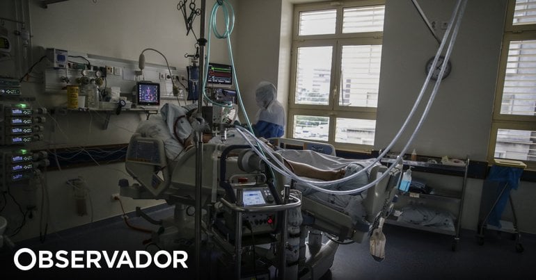 ポルトガルでは1日平均12人が死亡し、約400人が新型コロナウイルス感染症に新規感染している