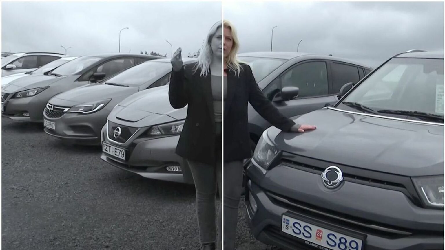 アイスランドの自動車フリートの色彩の欠如を知る