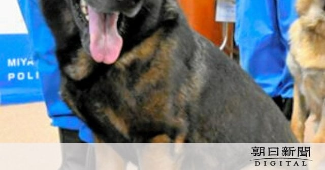 崖の下に転落して2昼夜の70代女性　神奈川県警のエース犬が発見