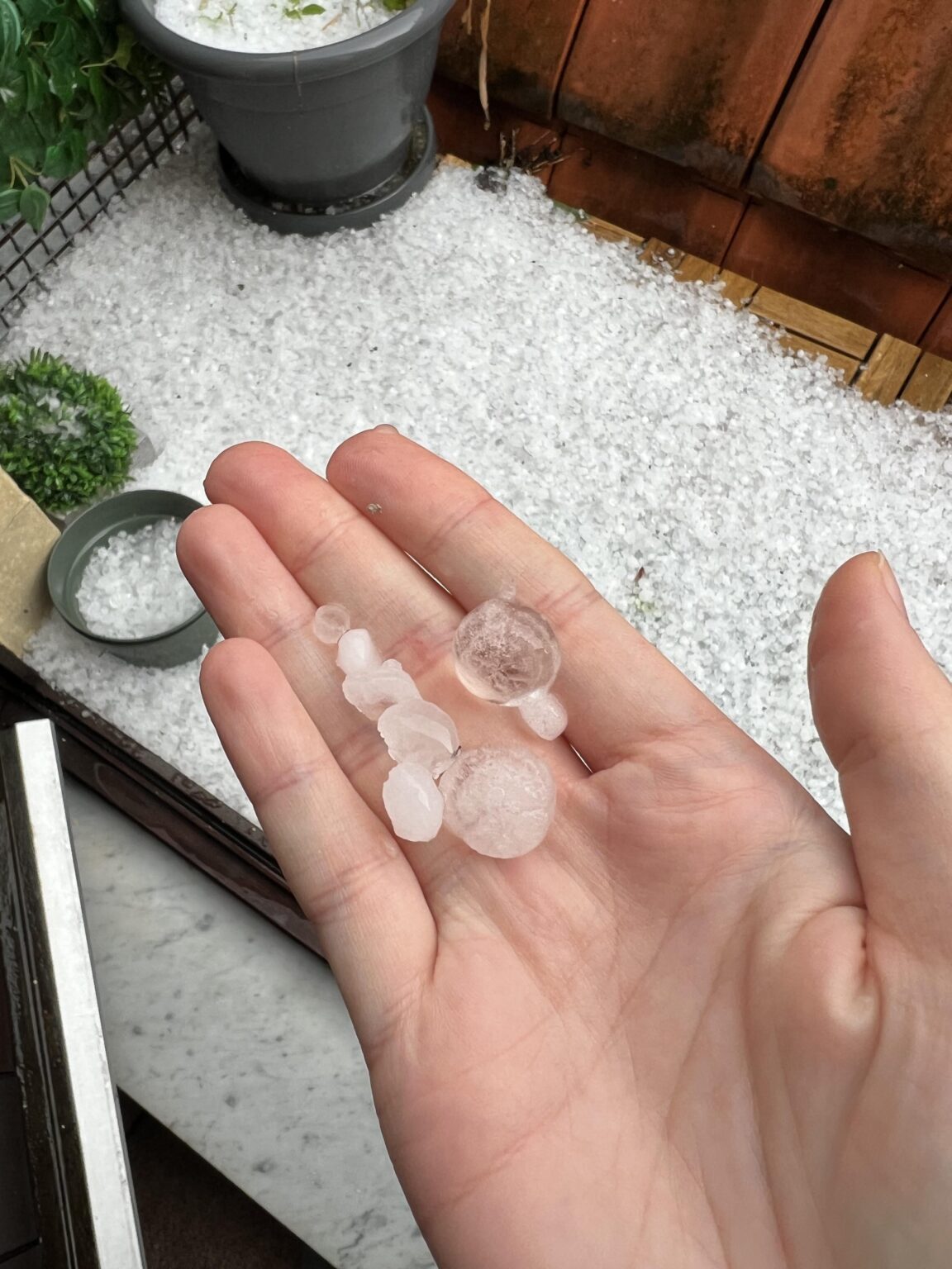 素敵な夏の天気