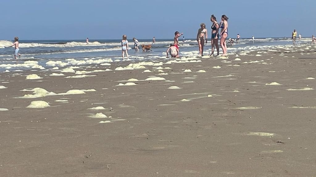 アドバイスを強化: 海の泡の中で遊んではいけないが、海水浴客はそれについて何も知らない