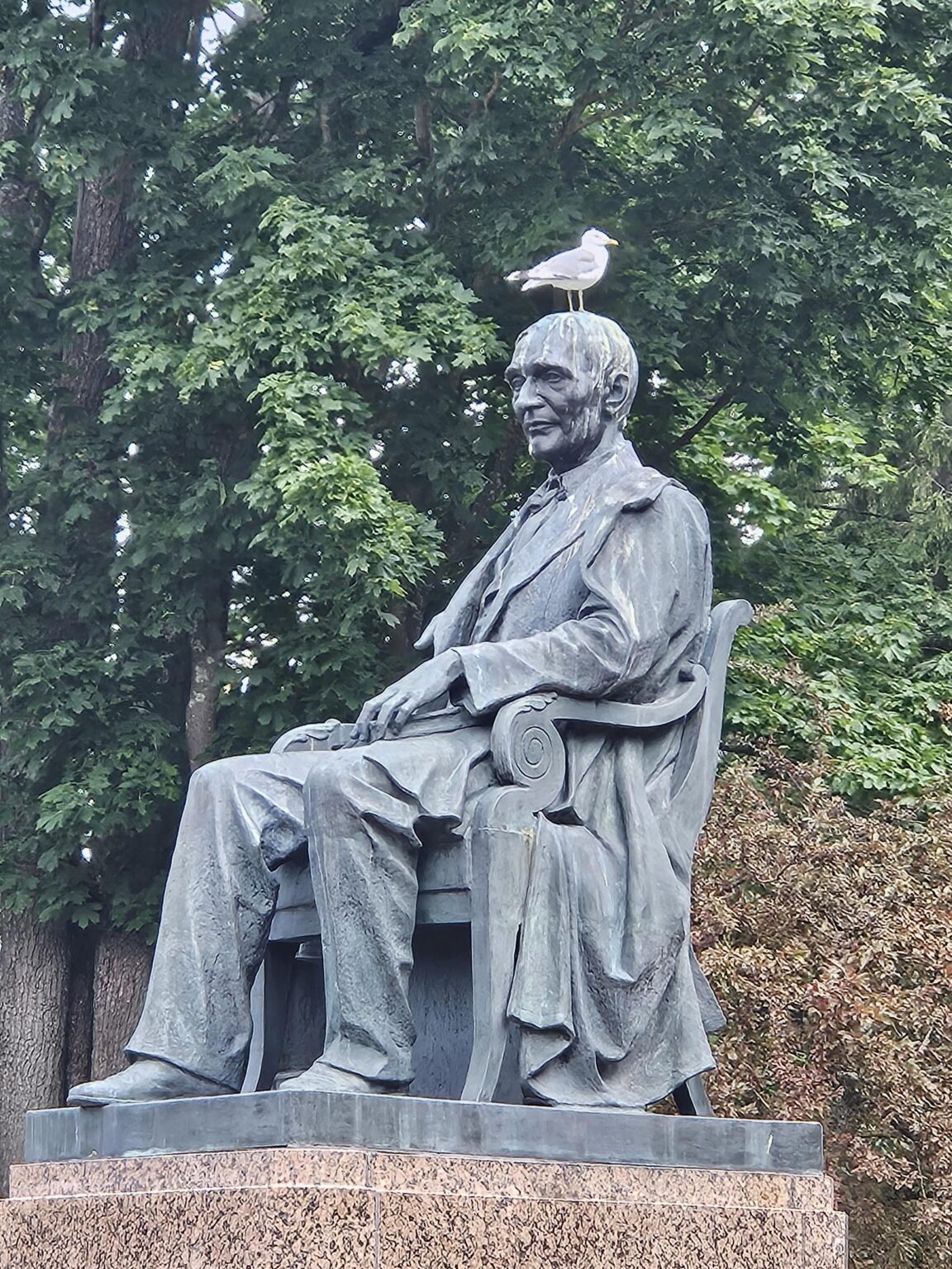 鳥が頭にぶつかったら…