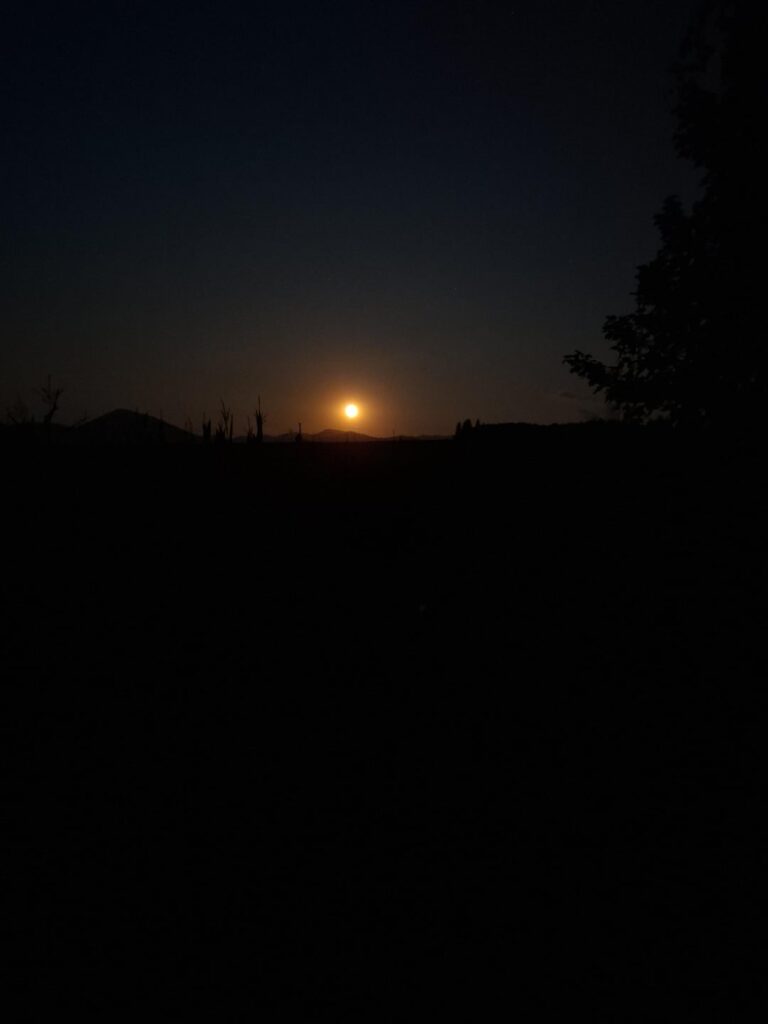 マーティンからの日曜日の満月🌕