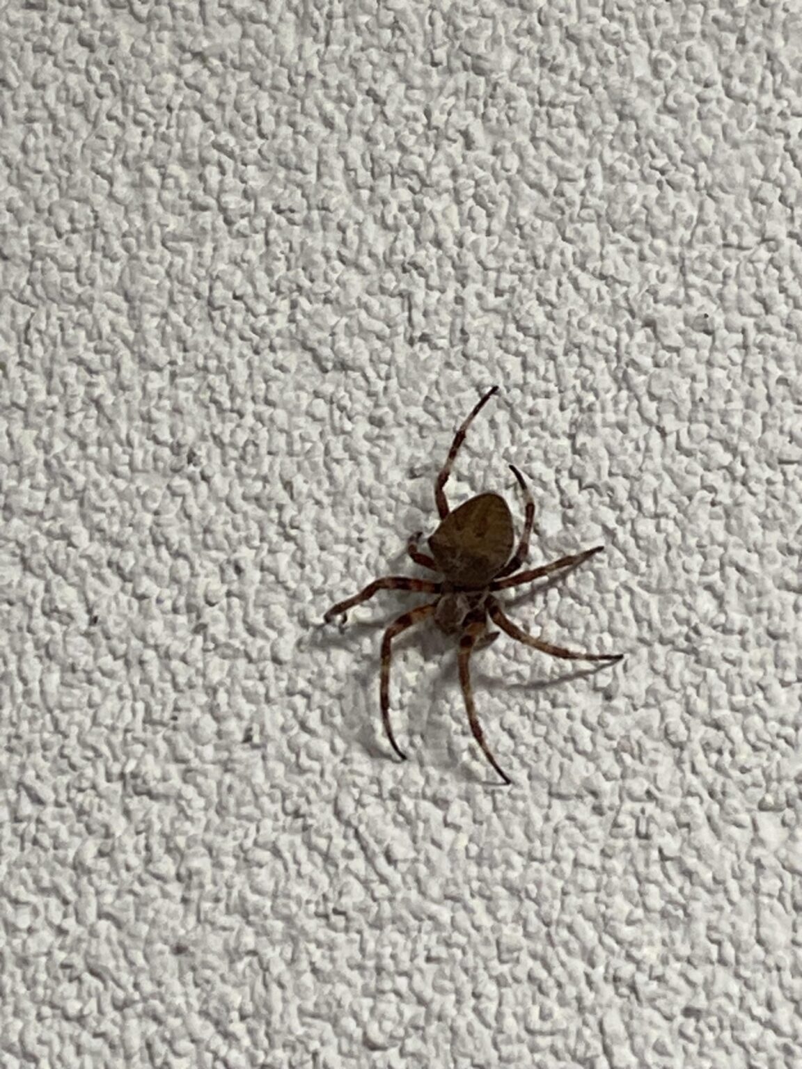 この人の名前を知っている人はいますか？