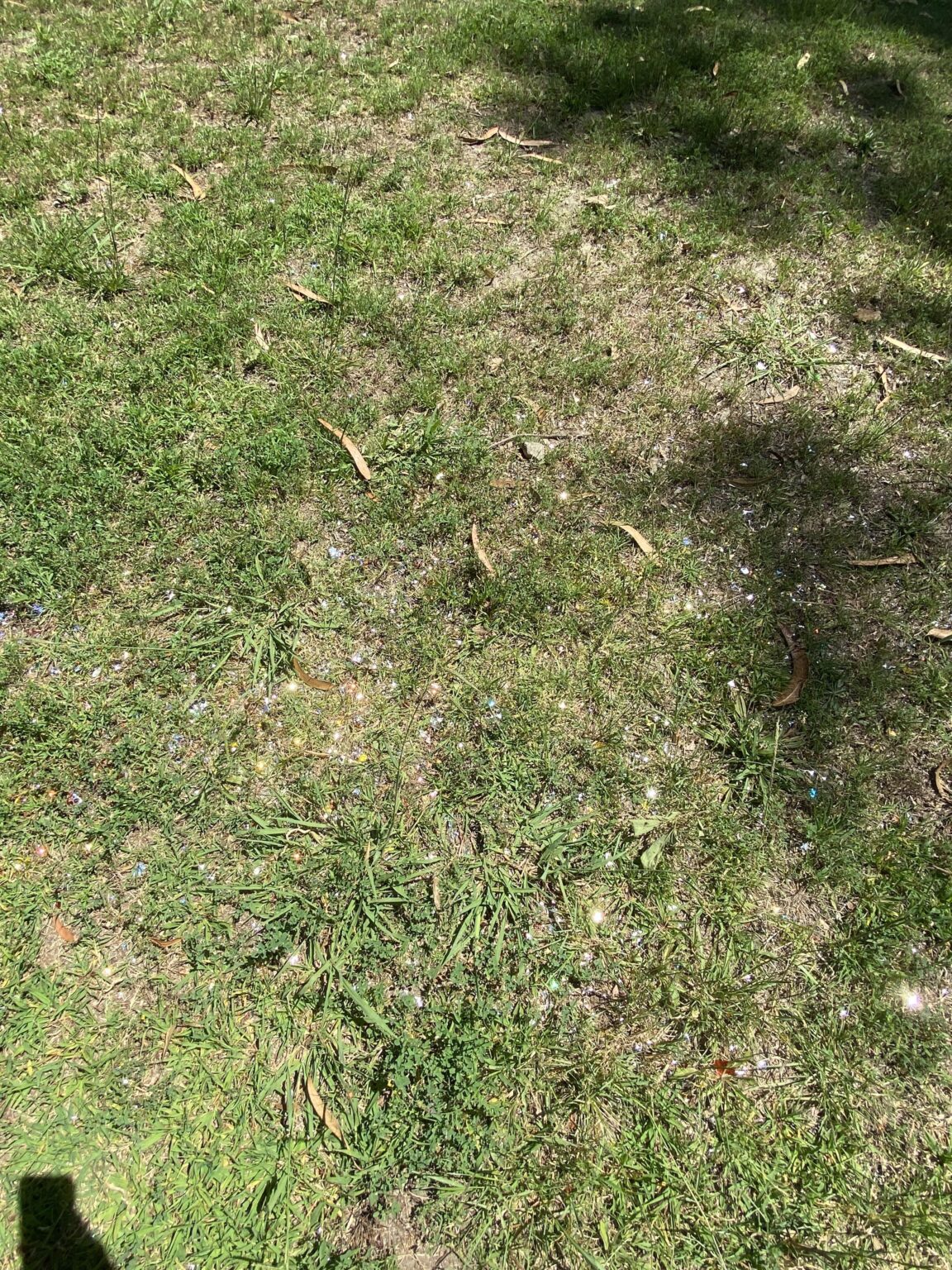 公共の公園や庭園でのパーティースタッフ