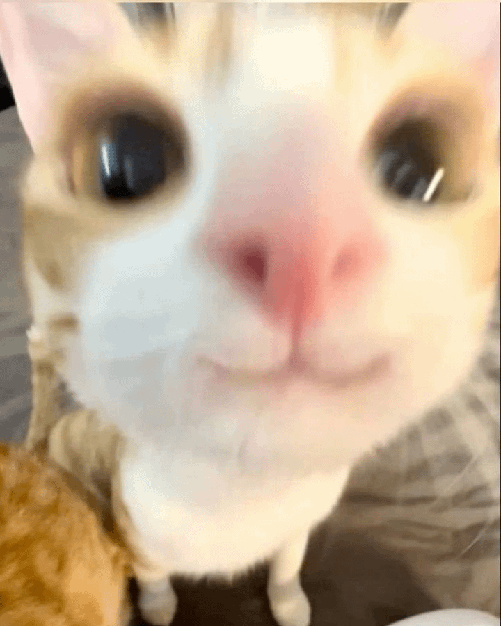人との出会い！！！
