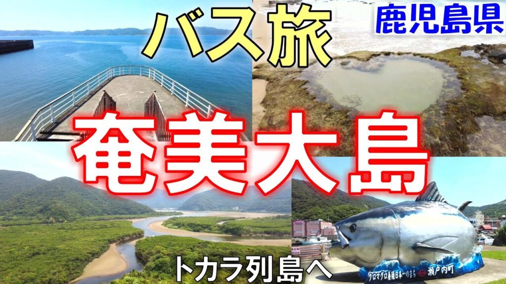 【奄美大島】バス旅！空港～奄美市街～瀬戸内町【トカラ列島への出発地】