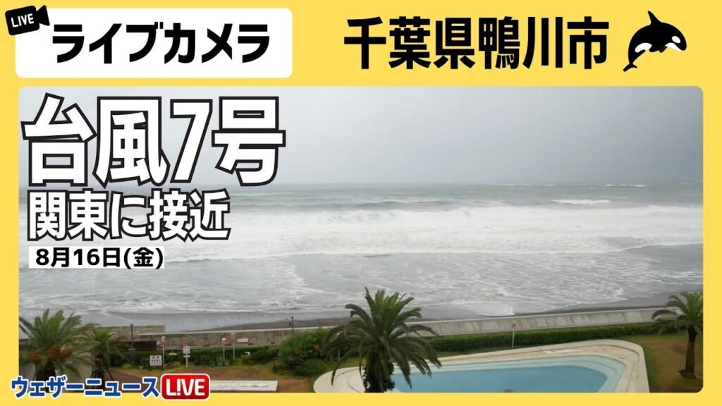 【ライブカメラ】台風7号関東に接近 千葉県鴨川市 8月16日(金)