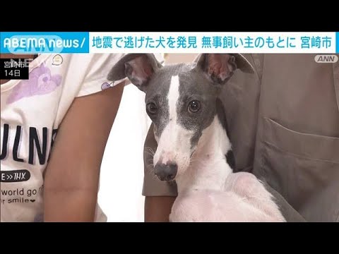 地震発生時に逃げ出し　行方不明の犬が飼い主のもとに…　宮崎(2024年8月14日)