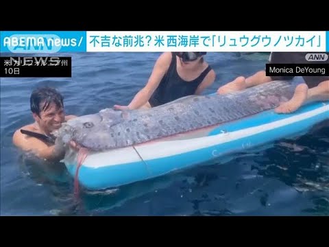 カリフォルニアに“終末の魚”現る　2日後の地震に結び付けて報じるメディアも(2024年8月17日)