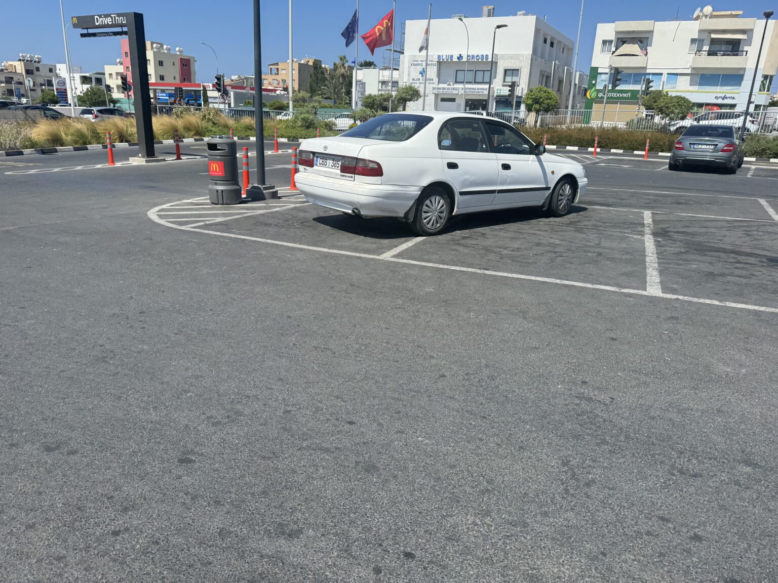 私も野生で見つけた