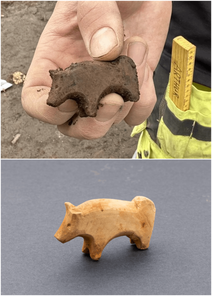 東アイスランドの村セイディスフィヨルズルのフィヨルズル発掘調査で、玩具として使われていたと思われる火山岩の動物像が最近発見された。この像はロングハウスの遺跡で発見された。この遺跡は、1150 年、940 年～ 1000 年頃に地滑りで埋もれたバイキング時代の集落の一部である。(1032 x 1440)