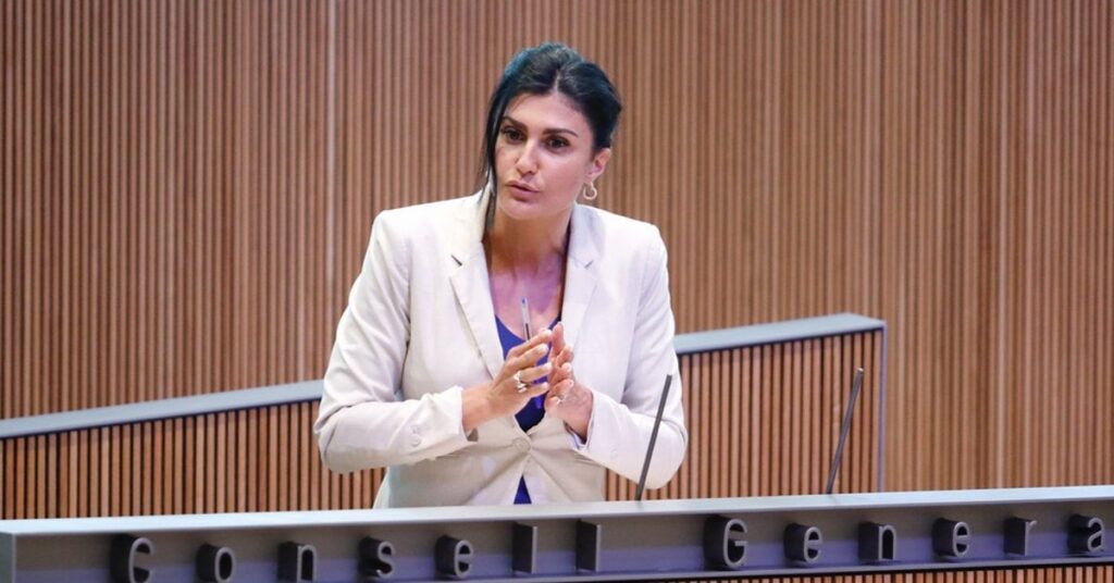 モンタネール氏は、住民投票で「反対」の票が勝った場合には選挙を実施しなければならないと述べている