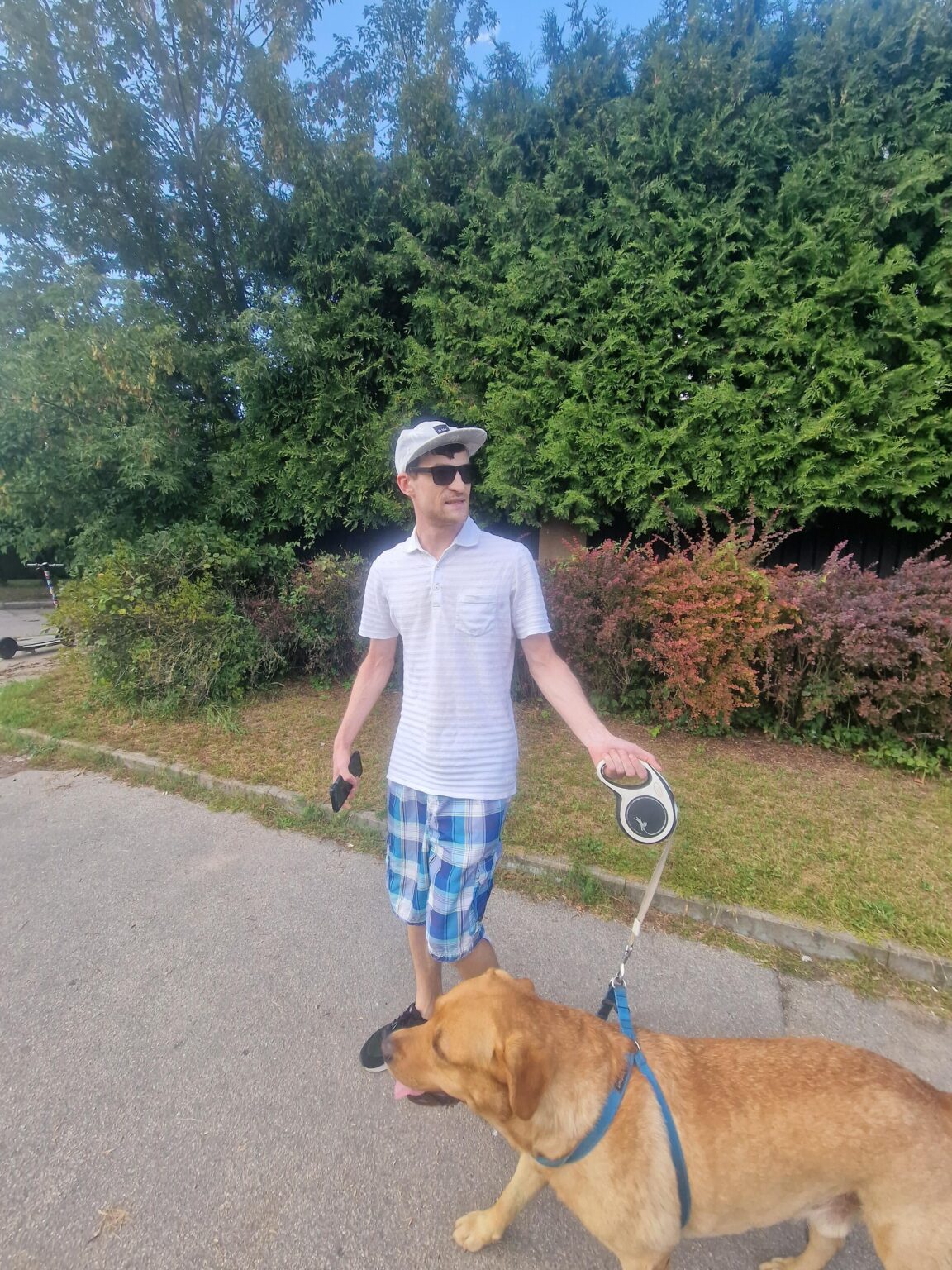 犬のうんこを拾わないでください