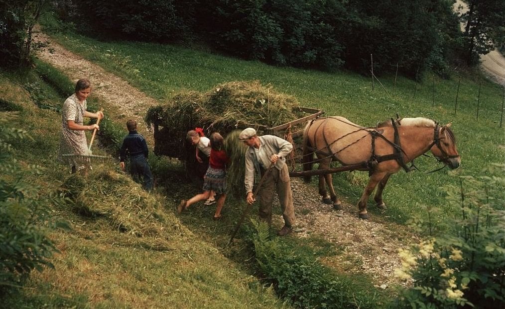 1950 年代のノルウェー: 魅力的なヴィンテージ写真が都市、町、風景、日常生活を映し出す