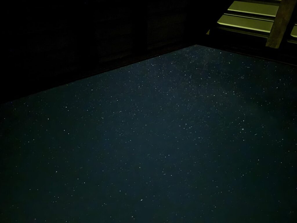 みんな見間違えた