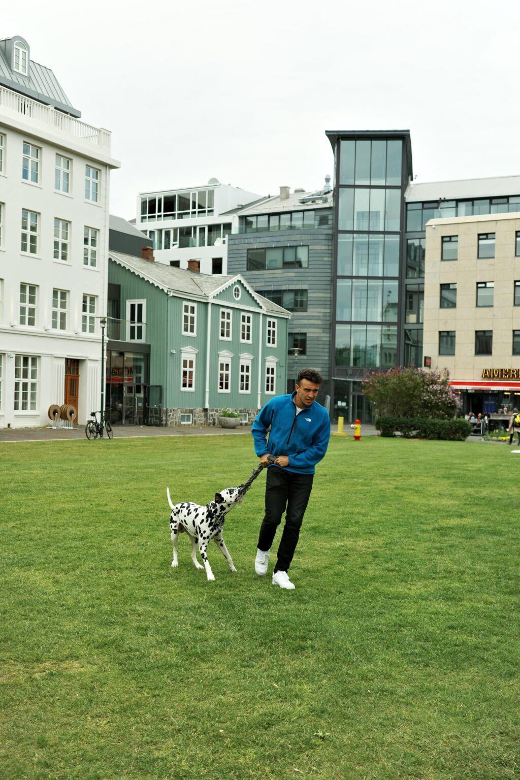この写真はレイキャビクで撮ったものですが、このテーマにしたいです。レイキャビクでダルメシアンを飼っている人を誰か知っていますか?
