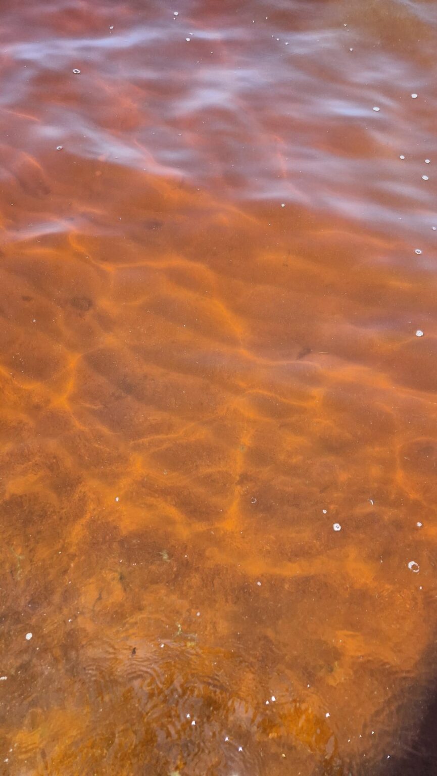 なぜ海水は赤いのでしょうか？