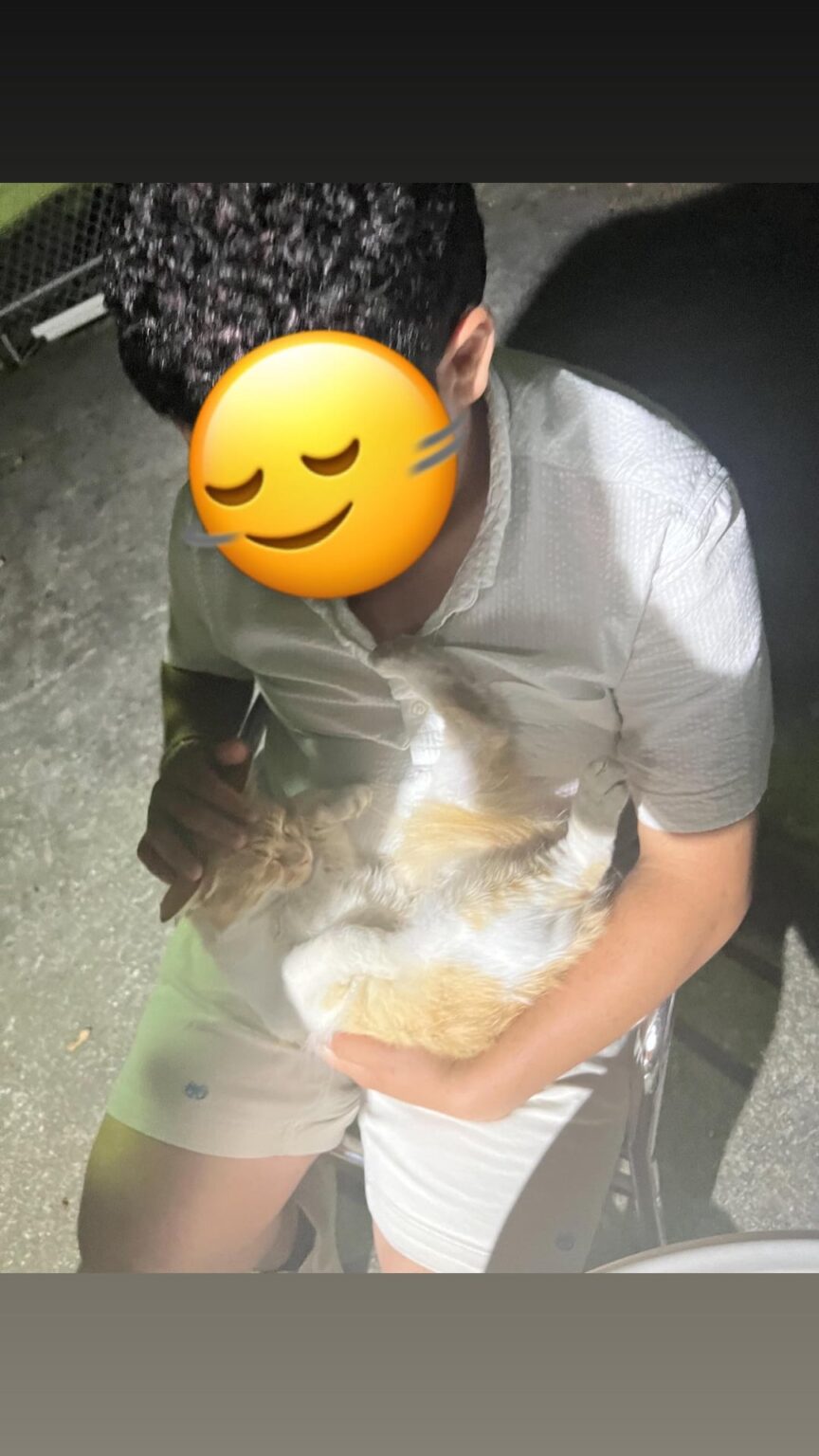 私の猫をアップロードしたかっただけです。彼はあなたをとても愛しています