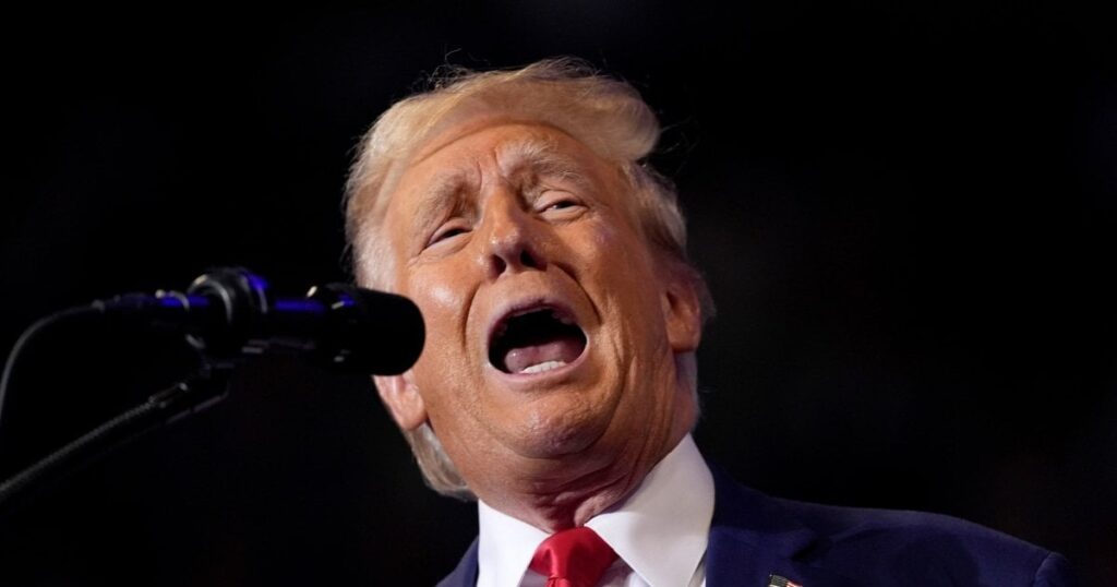 トランプ大統領の不安を掻き立てる新たな疑問：「なぜ選挙をするのか？」