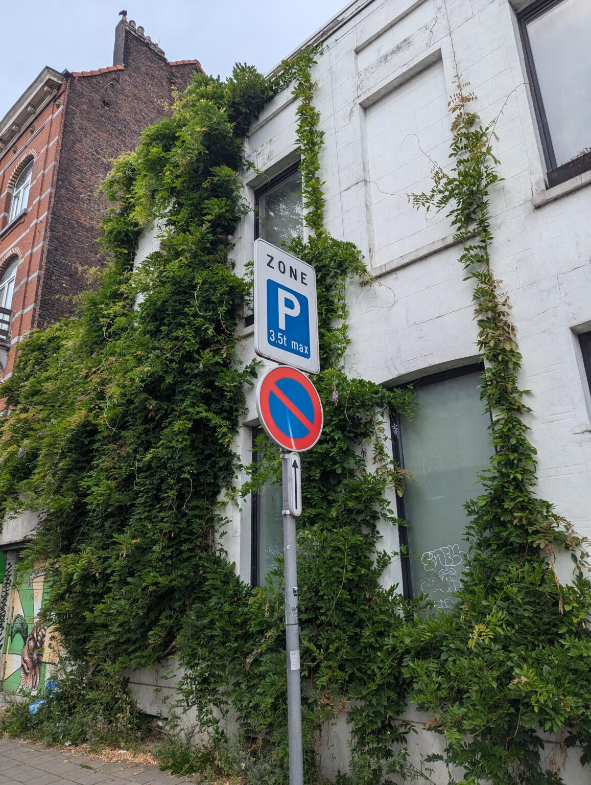ここに駐車できますか？