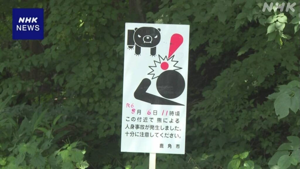 木の上からクマ 草刈り作業中の50代の男性が襲われけが 秋田県鹿角市