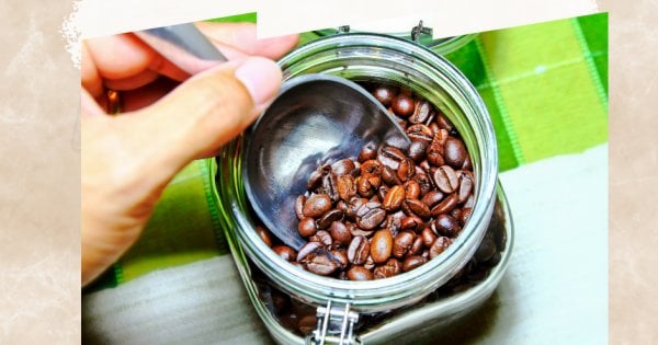 コーヒーをどのように保存するのが最適ですか?