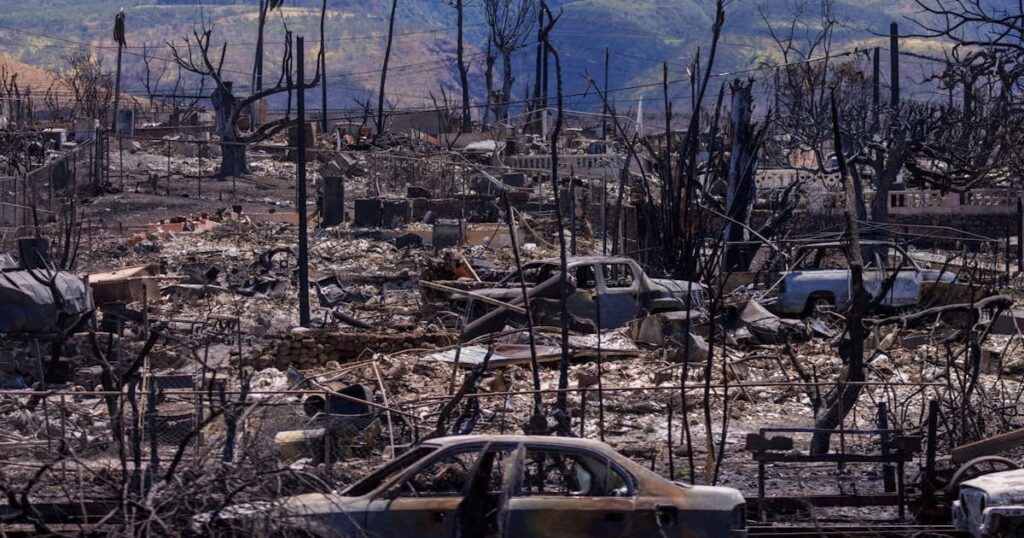 米ハワイ州、山火事で和解金5900億円 基本合意