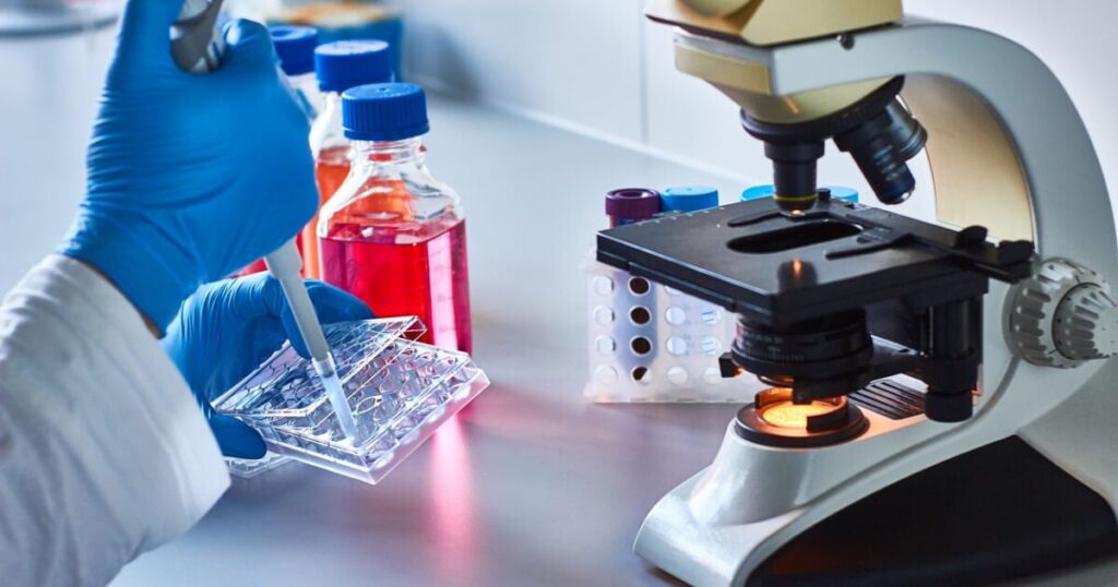 ブルガリア人は、抗がん剤の開発にとって重要な発見をしました。