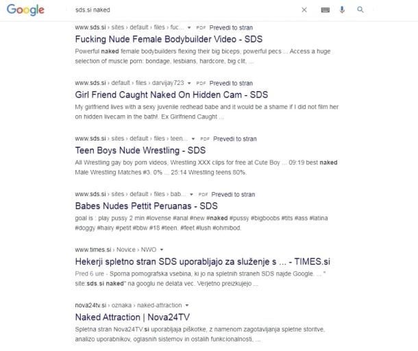 SDS ポルノ - ヤンシェワの党は短期間、ポルノ資料を一般に提供した (2020 年 5 月 15 日)
