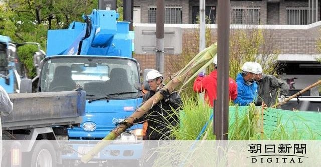 数十年に一度咲く「リュウゼツラン」 台風の接近前に伐採 横浜