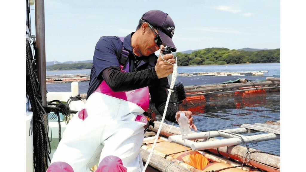 熊本・八代海で「赤潮」猛威、カンパチやシマアジなど13億円被害 - 海水温上昇で有害プランクトンの増殖など生態系に変化