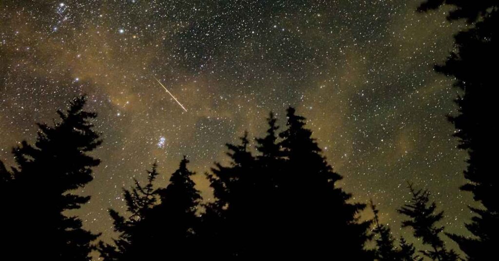 来週、ペルセウス座流星群がフィンランドの空を明るく照らします。8月12日から13日の夜が観測のピークで、1時間あたり最大60個の流れ星が見られます。