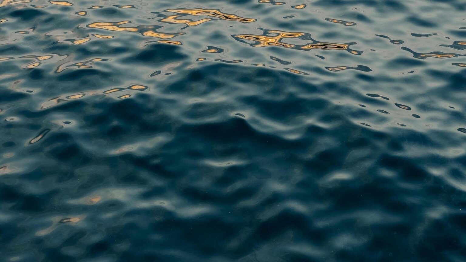 地中海の気温は2年連続で記録を更新、8月15日の平均気温は28.9℃