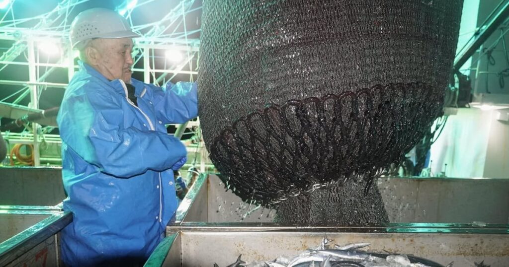 サンマ大型船が初水揚げ 「昨年より多い」漁師ら期待 北海道根室市