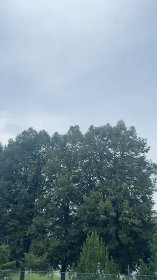 UFOは弟と一緒に旅行に行くことにしました 😳