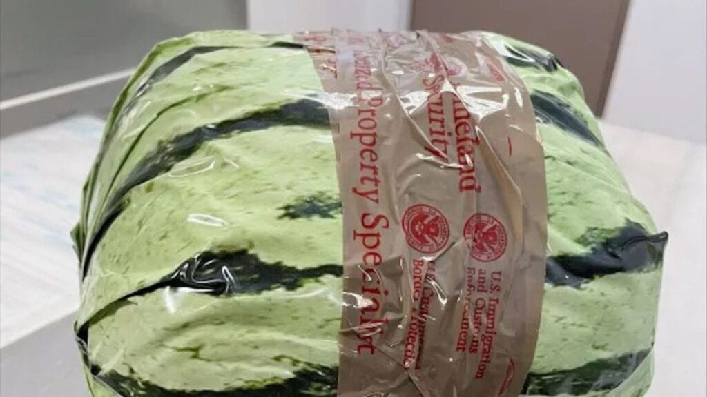 スイカに見せかけた覚醒剤メタンフェタミン、７億円相当を押収 米カリフォルニア州