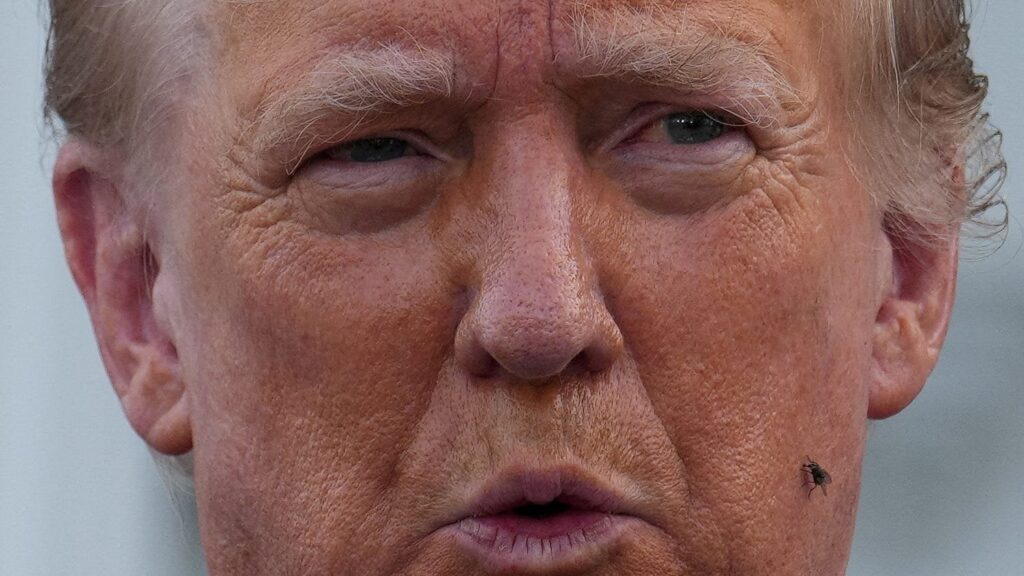記者会見中にハエがトランプ氏の顔に止まり、マイク・ペンス氏の2020年討論会で話題になった瞬間を再現