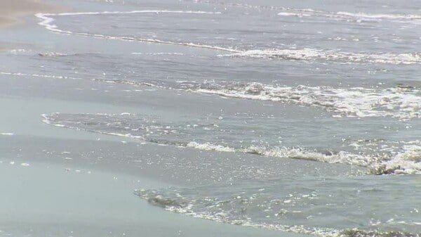 海水浴場に“指定されていない海岸”で「オコゼ」とみられる魚に刺され7歳女児と20歳女性が救急搬送 波打ち際を歩く際は「素足にならないで」 新潟県上越市、糸魚川市