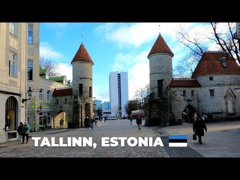 フェリーでタリンへ旅行しました。その体験を動画でご紹介します。