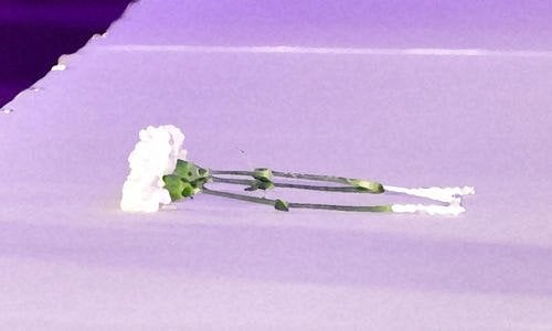 名作児童文学「はれときどきぶた」著者矢玉四郎さん死去 老衰 満80歳に家族「生き切った」